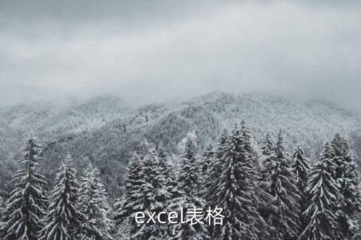 xlsx表格，EXCEL表格