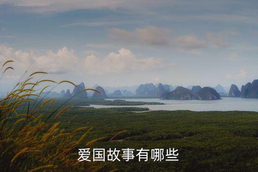 關(guān)于愛國的事例，關(guān)于愛國的事跡