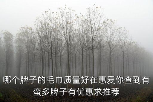 毛巾十大品牌，純棉毛巾有哪些牌子比較有名的