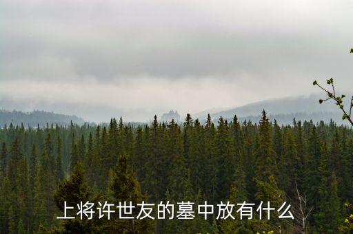 上將許世友的墓中放有什么
