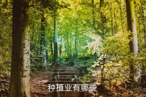 種植業有哪些