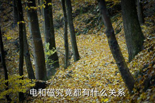 電與磁，電與磁的聯系與區(qū)分