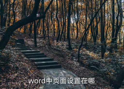 頁面設置在哪里，word中頁面設置在哪呢