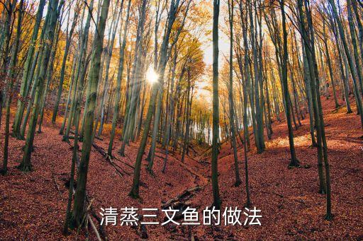 清蒸三文魚，清蒸三文魚的做法清蒸三文魚怎么做好吃清蒸