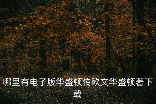 華盛頓傳，哪里有電子版華盛頓傳歐文華盛頓著下載