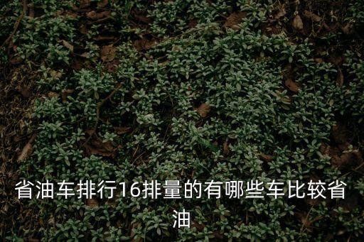 汽車油耗排行榜，省油車排行16排量的有哪些車比較省油