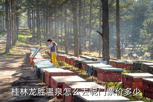 桂林龍勝溫泉，龍勝溫泉的衛(wèi)生狀況如何