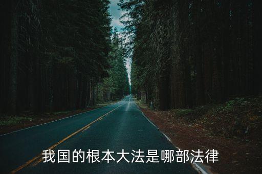 我國根本大法，我國的根本大法是哪部法律