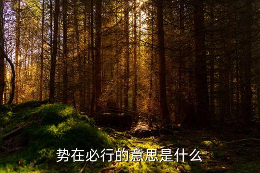勢在必行，勢在必行是不是成語