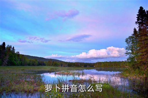 蘿卜讀音，蘿卜拼音怎么寫
