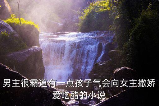 撒嬌小說，男主很霸道有一點孩子氣會向女主撒嬌愛吃醋的小說