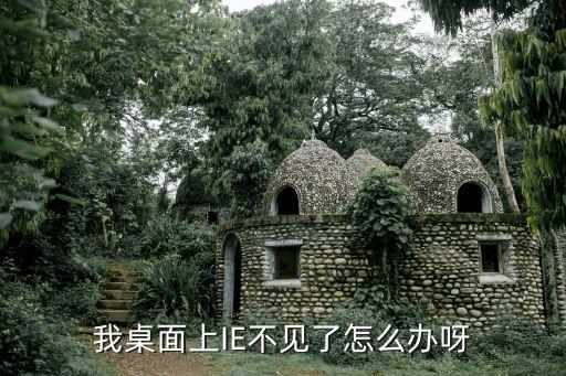 ie瀏覽器找不到，我桌面上IE不見了怎么辦呀