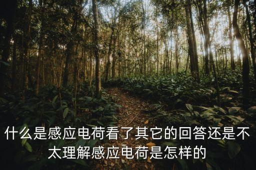 什么是感應電荷看了其它的回答還是不太理解感應電荷是怎樣的