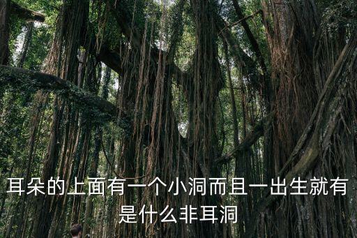 耳朵上有個小眼有福氣，左耳垂上天生長了個小眼這是這么回事