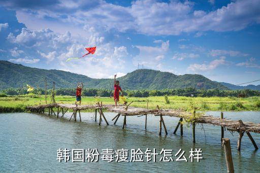 韓國瘦臉針，去韓國打一次瘦臉針的價(jià)格是多少