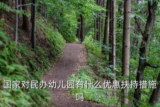 國家對民辦幼兒園有什么優惠扶持措施嗎