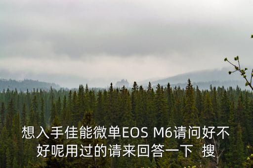 佳能eosm6，日常用佳能微單M6值得入手嗎