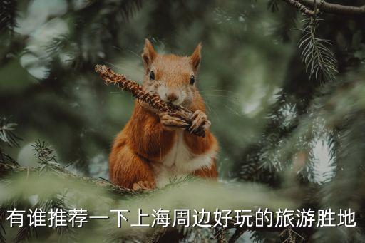 上海周邊旅游景點，上海周邊有什么好的旅游景點