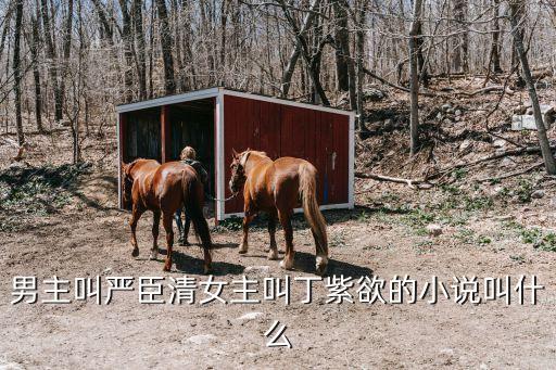 重生之嫡親貴女，古代言情小說女主叫丁紫