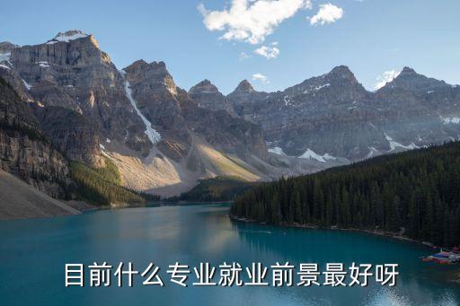 目前什么專業(yè)就業(yè)前景最好呀