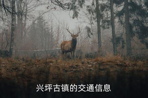 興坪鎮，漓江沿岸最美麗的古鎮是哪個
