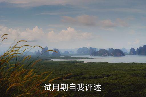 試用期自評，試用期自我評價
