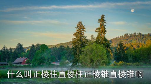 什么叫正棱柱直棱柱正棱錐直棱錐啊