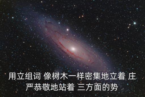 用立組詞 像樹木一樣密集地立著 莊嚴(yán)恭敬地站著 三方面的勢