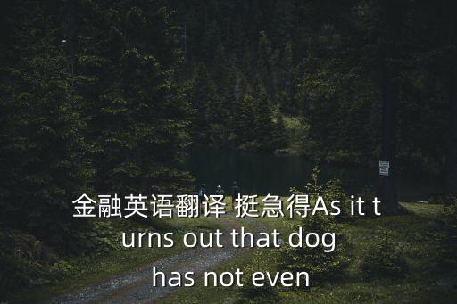 金融的英文，求金融英語翻譯