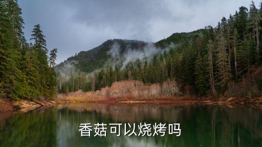 烤香菇，香菇可以燒烤嗎