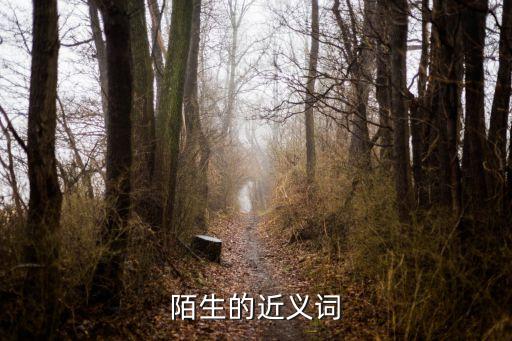陌生的近義詞是什么，陌生的近義詞