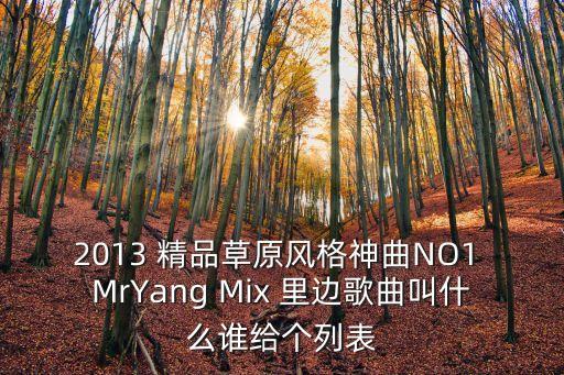 2013 精品草原風格神曲NO1 MrYang Mix 里邊歌曲叫什么誰給個列表
