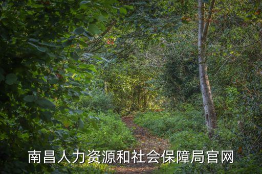 南昌社保局官網(wǎng)，南昌市勞動和社會保障網(wǎng)為什么進(jìn)不去