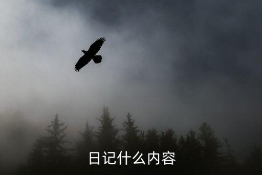 日記內容，日記什么內容
