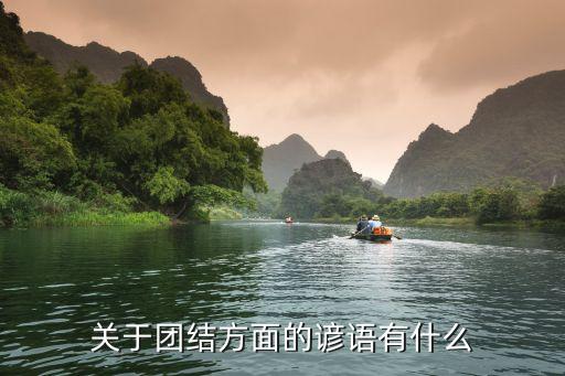 有關團結的諺語，關于團結合作的諺語