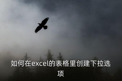 excel下拉選項怎么設置，如何在excel的表格里創建下拉選項