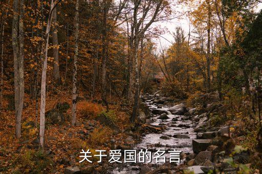 關(guān)于愛國的名言警句，關(guān)于愛國的名言