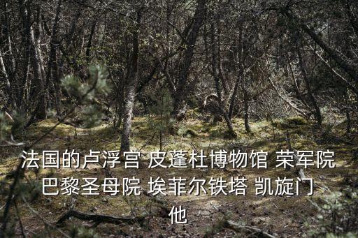 巴黎榮軍院，有誰知道這是哪個(gè)有名的建筑叫什么名字在線等