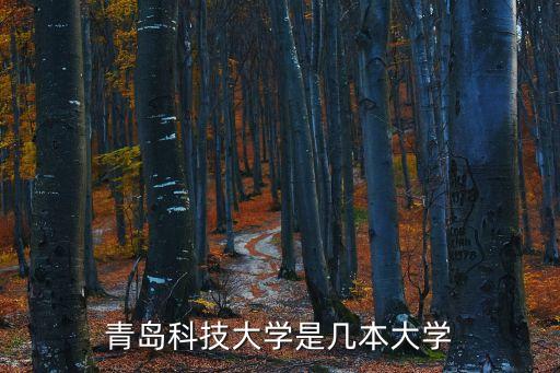 青島科技大學是幾本大學