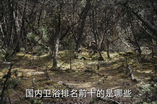中國(guó)衛(wèi)浴十大排名，國(guó)內(nèi)衛(wèi)浴排名前十的是哪些