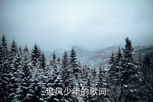 常回家看看歌詞，八仙全傳主題曲的完整歌詞誰有