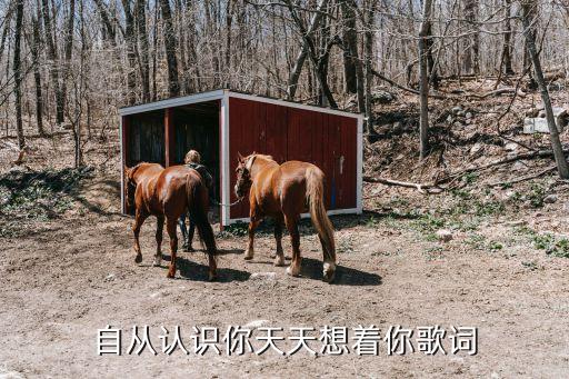 自從認(rèn)識你，自從認(rèn)識你天天想著你歌詞