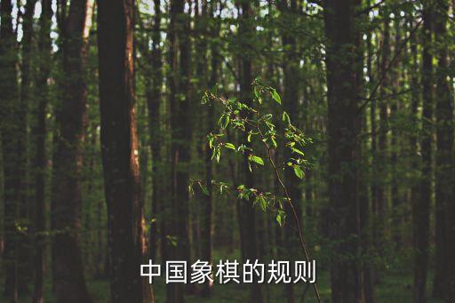 中國象棋的規(guī)則，中國象棋規(guī)定
