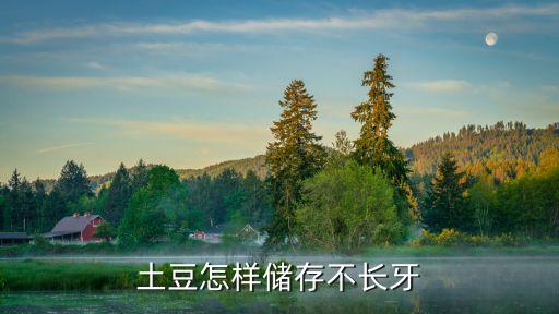 土豆怎么保存不發綠不長牙，土豆怎樣儲存不長牙