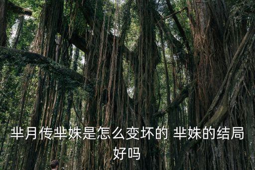羋月傳羋姝是怎么變壞的 羋姝的結(jié)局好嗎