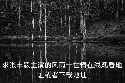 風雨一世情，道路坎坷人生苦難是那個連續劇的歌詞