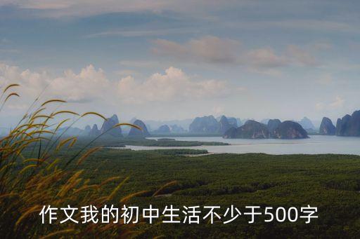 作文我的初中生活不少于500字