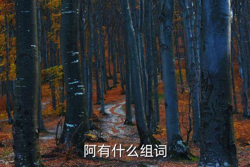阿組詞，字共有那些組詞阿