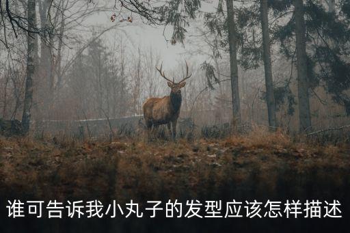 櫻桃小丸子發(fā)型，櫻桃小丸子的發(fā)型