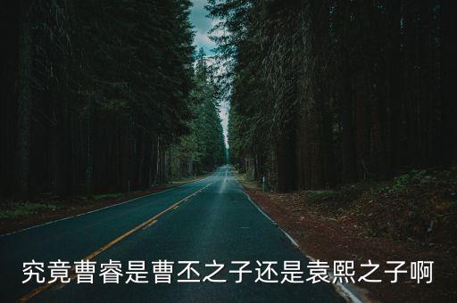 曹睿簡介，草樣年華作者曹睿是北京哪個大學(xué)的